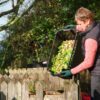 Electric Shredder/Chipper (45mm) - In Use 6 Electric Shredder/Chipper (45mm) - In Use 6