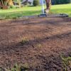 Lawn levelling Rake / Lute - In Action 6 Lawn levelling Rake / Lute - In Action 6