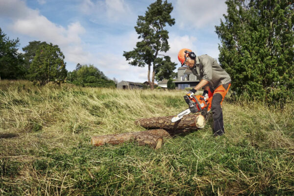 Petrol Chainsaw - In Action 1 Chainsaw - Petrol (38cm / 15in)