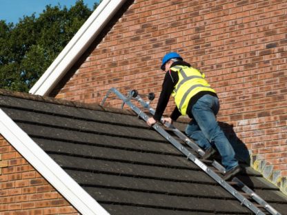 Roof Ladder - In Action 1