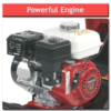 Turf Cutter - Powerful Engine